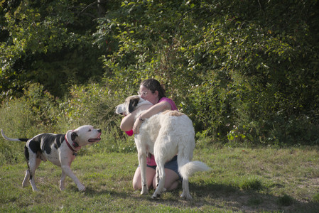 20250910_Thisbe and Dog Park__DSC0219_.jpg