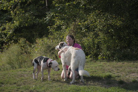 20250910_Thisbe and Dog Park__DSC0220_.jpg