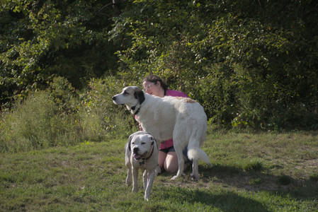 20250910_Thisbe and Dog Park__DSC0221_.jpg