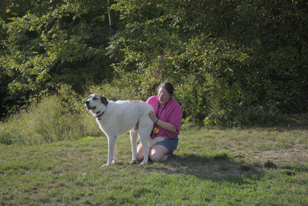20250910_Thisbe and Dog Park__DSC0226_.jpg