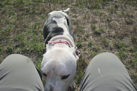 20250910_Thisbe and Dog Park__DSC0228_.jpg