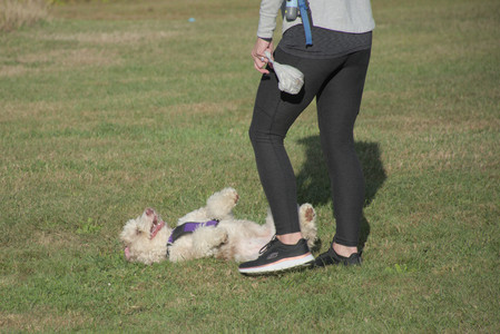 20250910_Thisbe and Dog Park__DSC0234_.jpg