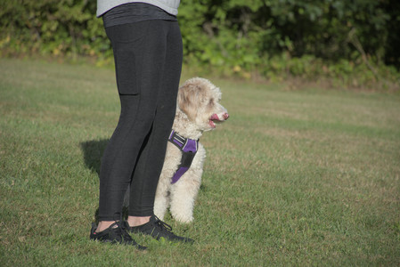 20250910_Thisbe and Dog Park__DSC0240_.jpg