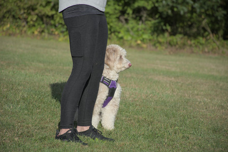 20250910_Thisbe and Dog Park__DSC0241_.jpg