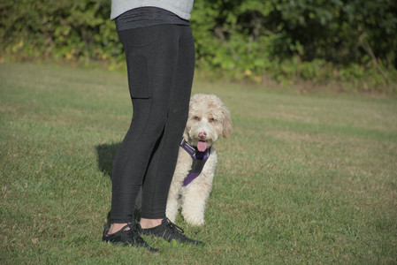 20250910_Thisbe and Dog Park__DSC0242_.jpg