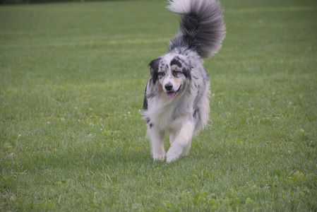 20250910_Thisbe and Dog Park__DSC0263_.jpg