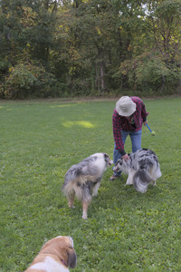 20250910_Thisbe and Dog Park__DSC0270_.jpg