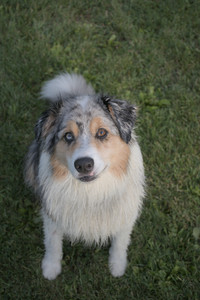 20250910_Thisbe and Dog Park__DSC0281_.jpg