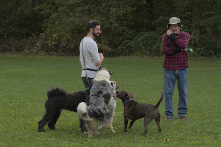 20250910_Thisbe and Dog Park__DSC0282_.jpg