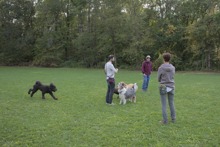 20250910_Thisbe and Dog Park__DSC0285_.jpg