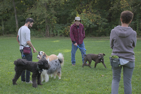 20250910_Thisbe and Dog Park__DSC0286_.jpg