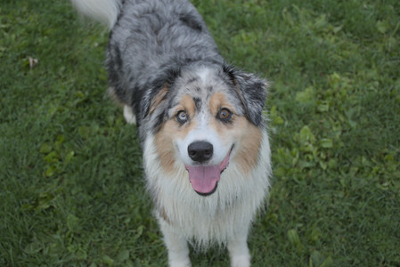 20250910_Thisbe and Dog Park__DSC0289_.jpg