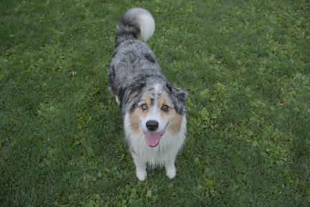 20250910_Thisbe and Dog Park__DSC0292_.jpg