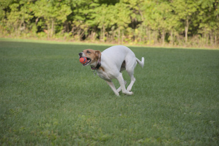 20250910_Thisbe and Dog Park__DSC0293_.jpg