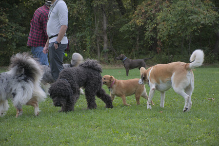 20250910_Thisbe and Dog Park__DSC0302_.jpg