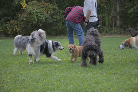 20250910_Thisbe and Dog Park__DSC0303_.jpg