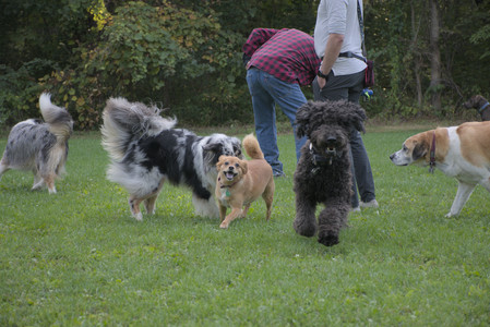 20250910_Thisbe and Dog Park__DSC0304_.jpg