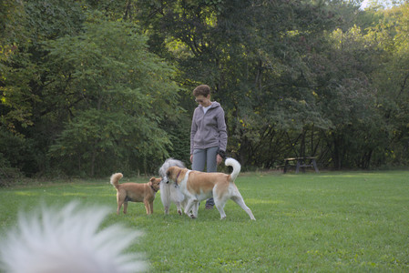 20250910_Thisbe and Dog Park__DSC0307_.jpg
