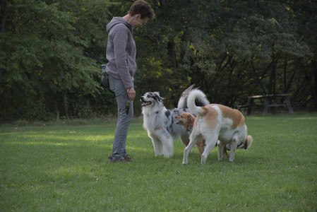 20250910_Thisbe and Dog Park__DSC0313_.jpg