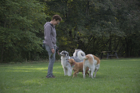 20250910_Thisbe and Dog Park__DSC0314_.jpg