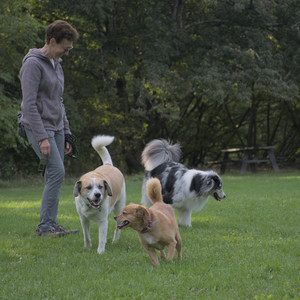 20250910_Thisbe and Dog Park__DSC0318_.jpg