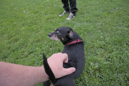20250910_Thisbe and Dog Park__DSC0339_.jpg