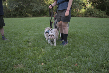 20250910_Thisbe and Dog Park__DSC0348_.jpg