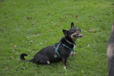 20250910_Thisbe and Dog Park__DSC0356_.jpg