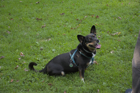 20250910_Thisbe and Dog Park__DSC0357_.jpg