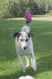 20250911_Dog park__DSC0016_.jpg