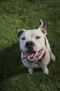 20250911_Dog park__DSC0020_.jpg