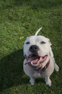 20250911_Dog park__DSC0021_.jpg