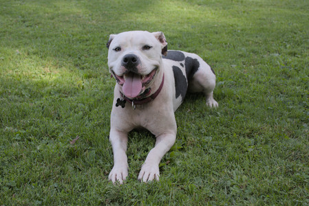 20250911_Dog park__DSC0038_.jpg