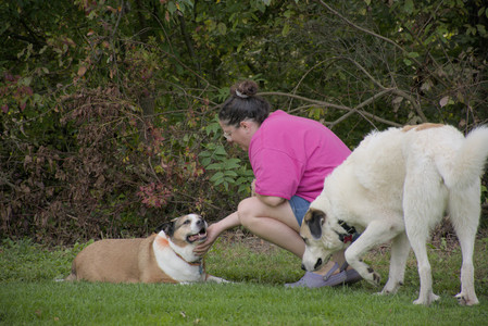 20250911_Dog park__DSC0053_.jpg