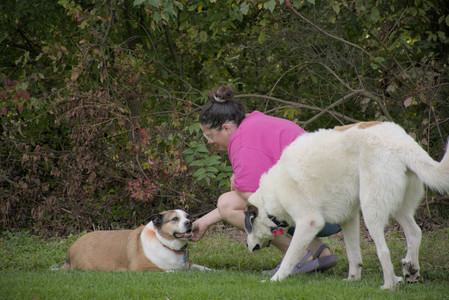 20250911_Dog park__DSC0054_.jpg