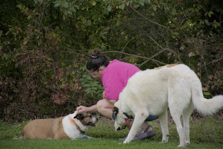 20250911_Dog park__DSC0055_.jpg