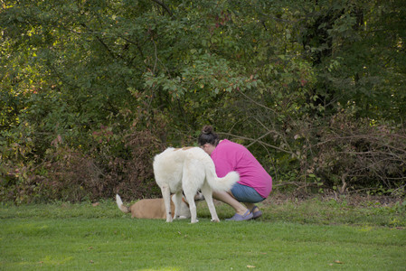 20250911_Dog park__DSC0057_.jpg