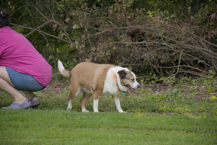 20250911_Dog park__DSC0058_.jpg