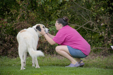 20250911_Dog park__DSC0059_.jpg