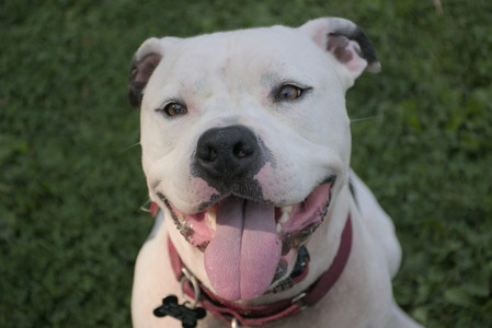 20250911_Dog park__DSC0063_.jpg