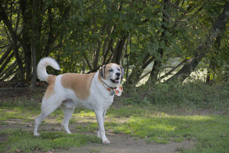 20250911_Dog park__DSC0109_.jpg