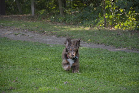 20250911_Dog park__DSC0159_.jpg