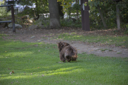 20250911_Dog park__DSC0162_.jpg