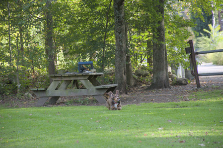 20250911_Dog park__DSC0166_.jpg