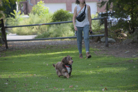 20250911_Dog park__DSC0171_.jpg