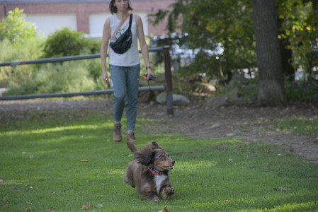 20250911_Dog park__DSC0172_.jpg