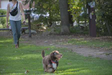 20250911_Dog park__DSC0173_.jpg