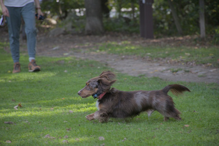 20250911_Dog park__DSC0176_.jpg