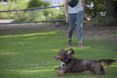 20250911_Dog park__DSC0177_.jpg