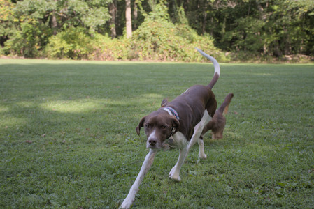 20250911_Dog park__DSC0187_.jpg